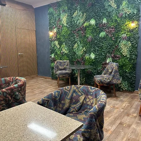 Sis画廊酒店 酒店 3*